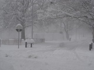Don't get caught in this snowstorm! Don't get caught in this snowstorm!