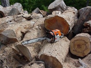 Chainsaw-Logs (320x240) Chainsaw-Logs (320x240)