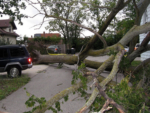 windstorm-elycefeliz@flickr Are you ready for this to happen in your front yard?