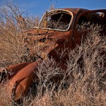 Rusty Bug The previous owners left us a gift...