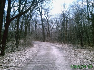 forestroad trekgraham 300x225 How My Family Decided To Band Together
