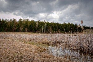 ourpond 300x200 Shifting Gears For The New Year