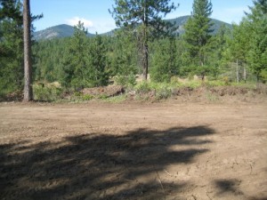 IMG 0219 500x375 300x225 Preparing Our Land