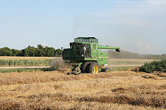 combine zaskem What Else To Do With Wheat