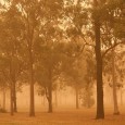 dust-storm-jemasmith dust-storm-jemasmith