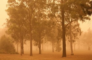 dust storm jemasmith 300x198 After The Dust Settles ... What Do We Do Now?