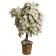 If only money grew on trees...