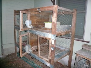 rabbit hutch drmacro@flickr 300x225 Four Ways To Improve Your Suburban Food Preparation Efforts