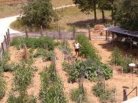 foodproductionsystems Food Production Systems For a Backyard or Small Farm