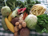 csafood 200x150 Are You Ready For Massive Food Inflation?