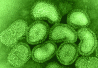 influenza a virus 200x139 Is Pandemic Influenza A Real Threat?