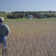 farmer-in-field