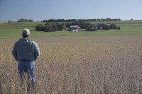 farmer in field 200x133 Monsanto, Schools, and Our Glorious TSA