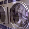 dryer dryer