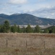 IMG_2341 (1024x768)