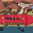 acme acme