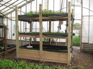 800px Portable fish farm at growing power 300x225 Hydroponics and Aquaponics