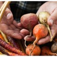 sustainable-food-production sustainable-food-production