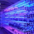massive-grow-racks massive-grow-racks