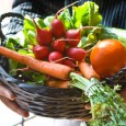 csa-vegetables csa-vegetables