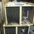 bee-packages bee-packages