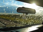 bugs-on-windshield